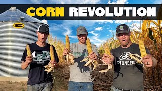 CORN REVOLUTION Official Music Video [upl. by Eurd]