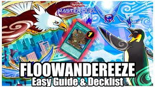 FLOOWANDEREEZE  EASY GUIDE amp DECKLIST Easy Wins [upl. by Artap224]