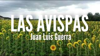 Las Avispas  Juan Luis Guerra Letra [upl. by Josephina768]