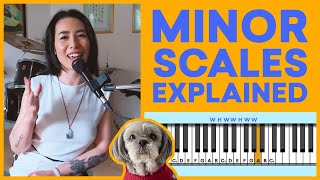 Minor Scales Explained in 8 Minutes [upl. by Ahsiener]