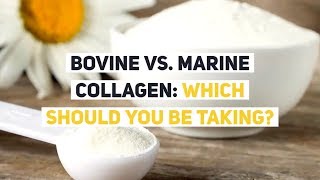 Bovine vs Marine Collagen Which Should YOU be Taking [upl. by Jestude]