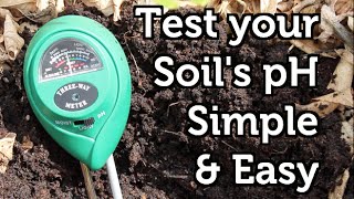 How to Measure your Soil pH Cheap and Easy [upl. by Hootman]