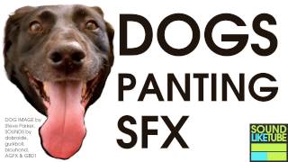 DOG PANTING SOUND EFFECT Free High Quality Download [upl. by Ativet]