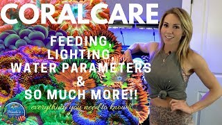 Coral Care  Feeding Lighting Reef Parameters amp More  Mindis Coral Reef [upl. by Malka322]