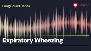 Expiratory Wheezing  EMTprepcom [upl. by Nagiem]