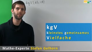 kgV berechnen kleinstes gemeinsames Vielfaches kgV Primfaktorzerlegung  Mathematik [upl. by Karrie]