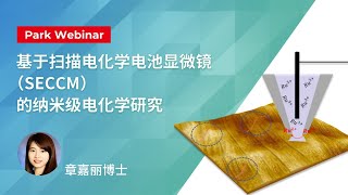 基于扫描电化学电池显微镜（SECCM）的纳米级电化学研究  Park Systems Webinar [upl. by Dotty]