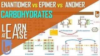 Enantiomer vs Epimer vs Anomer Carbohydrates [upl. by Dnar]