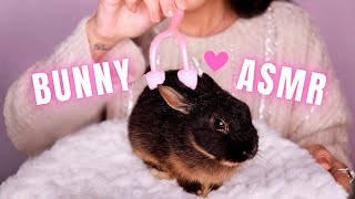 ASMR CUTE BUNNY SPA TREATMENT [upl. by Smeaj]