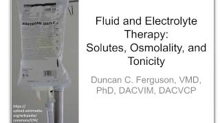 Fluid Therapy 2 SolutesOsmolality and Tonicity [upl. by Anafetse]