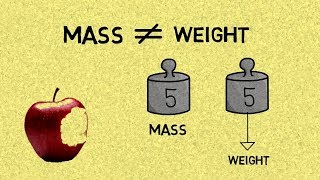 The Difference Between Mass amp Weight [upl. by Fidelio377]