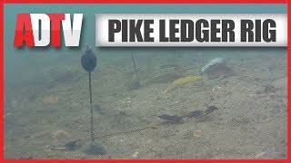 AD QuickBite  How To Tie A Deadbait Ledger Rig For Pike [upl. by Duester]