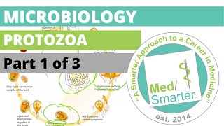 Protozoa  Microbiology  USMLE STEP 1  Part 1 of 3 [upl. by Peppy55]