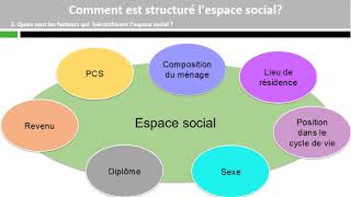 Comment est structuré lespace social [upl. by Artsa]