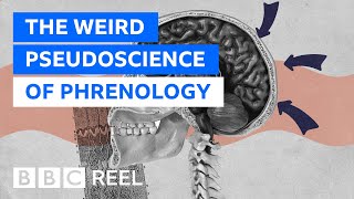 Phrenology The weirdest pseudoscience of them all  BBC REEL [upl. by Clifton]