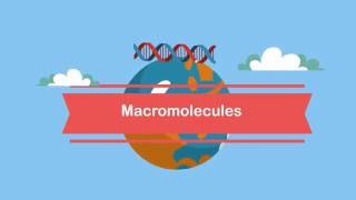 MacromoleculesA Beginners Guide [upl. by Nyrb108]