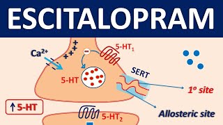 Escitalopram Lexapro  Mechanism precautions side effects amp uses [upl. by Mordy630]