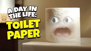 A Day in the Life of Toilet Paper [upl. by Sedinoel]