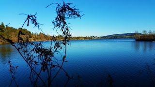 Allgäu Lechbruck See Landscape Sea 4K Germany [upl. by Ajile]