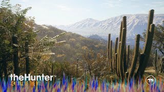 theHunter COTW Rancho Del Arroyo Mule Deer Guide amp My Hotspots [upl. by Gaddi]