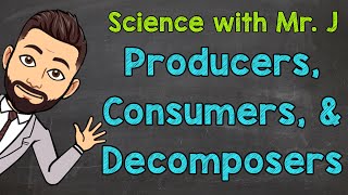 Producers Consumers and Decomposers  Ecosystems [upl. by Weeks]