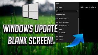 How to Fix Windows Update Blank Screen in Settings on Windows 10 2025 [upl. by Orestes]