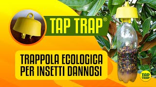 Tap Trap  trappola ECOLOGICA per insetti [upl. by Ailefo712]