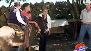 Donkeys become ride to school for Children in rural Mexican town [upl. by Miller736]