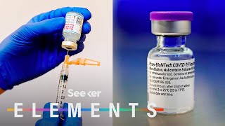 What’s In the Pfizer amp Moderna COVID Vaccines [upl. by Siddra]