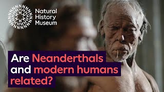 Are Neanderthals and modern humans related [upl. by Anelyak]