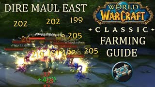 Lasher Gold Farm Guide Priest Dire Maul East  WoW Classic [upl. by Eniamret]