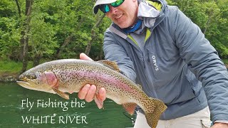 Fly Fishing the WHITE RIVER in Arkansas for MONSTER TROUT [upl. by Odin68]