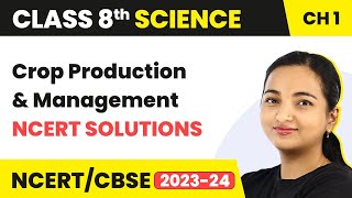 Chapter 1 Class 8 Science  NCERT Solutions  Crop Production and Management  Class 8 Science [upl. by Kinelski]