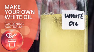 DIY White Oil  Gardening hacks  Gardening Australia [upl. by Gold]