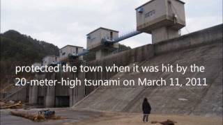 Japan Earthquaketsunami hit Hudai Village  Fudai floodgate 普代水門 [upl. by Eberto198]