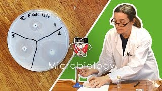 Microbiology  GCSE Science Required Practical Triple [upl. by Anselme411]