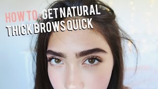 How To Grow Eyebrows FAST Thick amp Natural [upl. by Ahoufe]