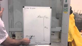 Lattice Enthalpy 1 [upl. by Joya]