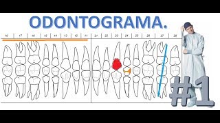 Como llenar un Odontograma  Parte 1 [upl. by Elka]