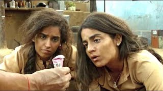 Pataakha full bollywood movie in Hindi Best comedy movie [upl. by Ronn]