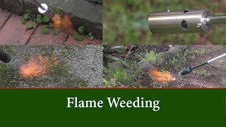 Flame Weeding Comparing the Weed Dragon and the Hot Devil Gas Flame Weeders [upl. by Atisusej822]