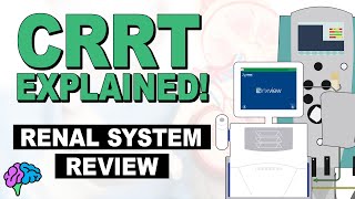 Renal System Review  CRRT Explained [upl. by Marbut]