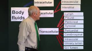 Body fluids 1 Fluid compartments [upl. by Kass]