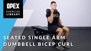 Seated Single Arm Dumbbell Bicep Curl  OPEX Exercise Library [upl. by Amekahs]