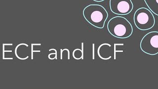 3 Intro to fluid compartments ECF and ICF [upl. by Mclaurin330]