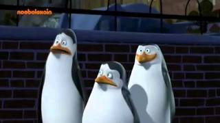 Penguins of Madagascar Clip  What did Kowalski say [upl. by Namara412]