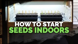 Seed Starting Indoors Under Grow Lights 101 [upl. by Katy]