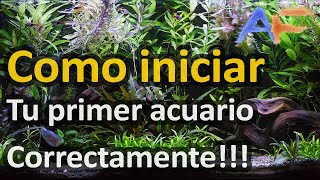 10 CONSEJOS para iniciar TU PRIMER ACUARIO con el pié derecho  Acuarismo Fácil [upl. by Doro547]