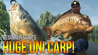 Lvl50 Weeping Willows UNIQUE Carp Method Leads amp More  Fishing Planet [upl. by Hars]