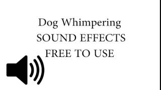 Dog Whimpering Sound Effect [upl. by Alinoel]